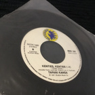 Tapani Kansa Hopeinen kuu single 1987 - pikkukuva 2