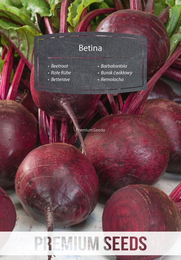 Punajuuri "Betina" - siemenet #