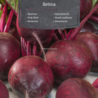 Punajuuri "Betina" - siemenet # - pikkukuva 1