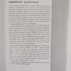 Allan Jokinen : Piiritetty kaupunki - pikkukuva 2