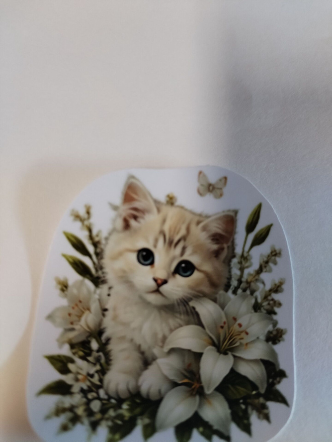 Suloinen kissa tarra.
