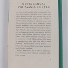 Rebekka Räsänen : Musta lammas lyö päänsä seinään - pikkukuva 2