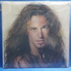 TED NUGENT - WEEKEND WARRIORS M-/M- 1ST HOL -78 PRESS LP - pikkukuva 2
