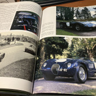 PAUL SKILLETER JAGUAR HYVÄ - pikkukuva 4