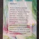 KULKEMATON MUUTOS ANITA POLKUTIE POSITIIVARIT - pikkukuva 1