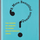 Warren Berger: A more beautiful question - pikkukuva 1