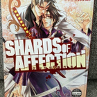 SHARDS OF AFFECTION (YAOI MANGA) ENGL. - pikkukuva 1
