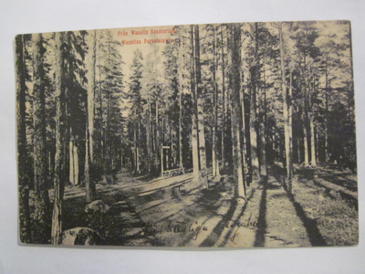 VANHA Postikortti Lohja Vaanila 1908