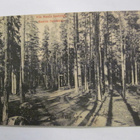 VANHA Postikortti Lohja Vaanila 1908 - pikkukuva 1