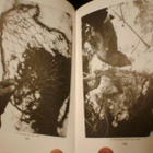 Guy N. Smith FERRETING AND TRAPPING (3 p. 1986) Sis.pk:t - pikkukuva 2