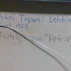 Petri Lehtinen "Petrie" - pikkukuva 4
