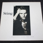 Sting - Nothing like the Sun 2LP - pikkukuva 1