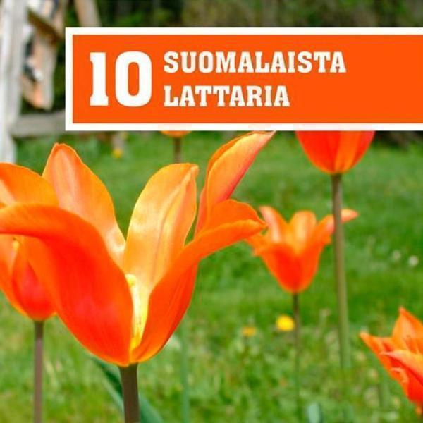 10 Suomalaista Lattaria - Eri Esittäjiä - CD
