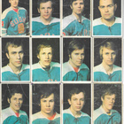 Erä Panda 1972 Jääkiekko, n. 100 erilaista - pikkukuva 1