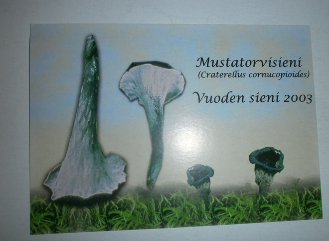 Mustatorvisieni, Vuoden sieni 2003, MiniMoi 2149, ei p.