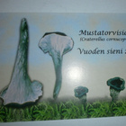 Mustatorvisieni, Vuoden sieni 2003, MiniMoi 2149, ei p. - pikkukuva 1