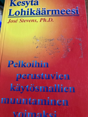 KESYTÄ LOHIKÄÄRMEESI