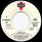 Hothouse Flowers : I'm Sorry - 7" - pikkukuva 2