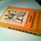 Hänninen Kaarlo: Nuori sissipäällikkö, v. 1933 - pikkukuva 2