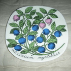 Arabia Botanica mustikka Tomula - pikkukuva 1