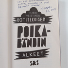 Harri Veistinen : Kotitekoisen poikabändin alkeet (signee... - pikkukuva 3