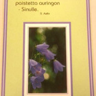 kortti Kissankello - erilaisia valokuvakortteja - pikkukuva 2