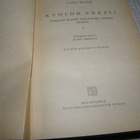 Carl Blink Kuolon enkeli -sid - pikkukuva 2
