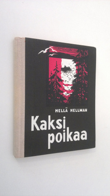 Hellä Hellman : Kaksi poikaa : pienoisromaani : kertomuksia