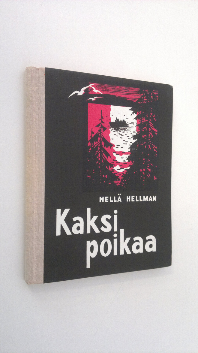 Hellä Hellman : Kaksi poikaa : pienoisromaani : kertomuksia
