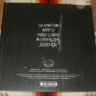 CIRCLE ~ Incarnation ~ LP silver M- - pikkukuva 2