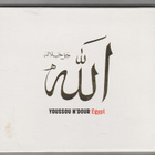 YOUSSOU N'DOUR »EGYPT»  [CD] - pikkukuva 1