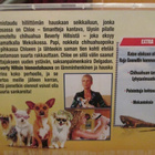 BEVERLY HILLSIN HIENOSTOHAUVA 1 JA 2  DVD:T - pikkukuva 4