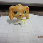 Littlest Pet Shop cockerspanieli. - pikkukuva 3
