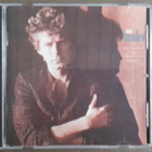 CD: Don Henley - Building The Perfect Beast (1984/1991?) - pikkukuva 1