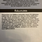 BO NYLEN: FJÄLLFLORA - pikkukuva 2