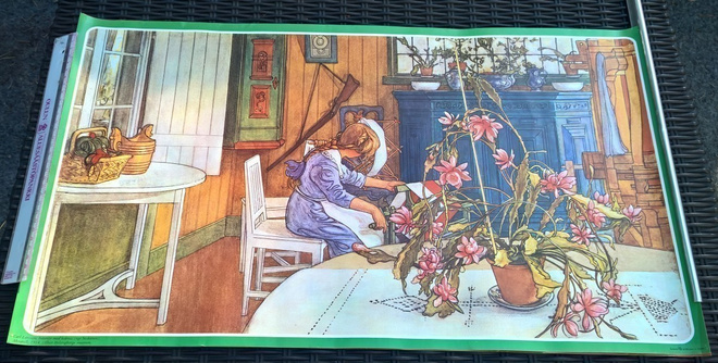 JULISTE 675 KOKO NOIN 70 X 40 CM