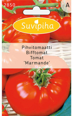 Tomaatti siemenet Marmande #