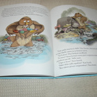 Disney Ruun luontoretki - pikkukuva 3