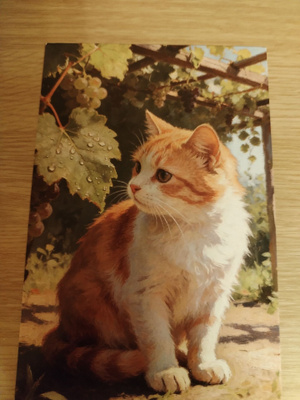 Kissa kortti,kulkematon.