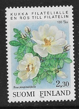Filatelia 100v,   kukka, 1993, postituore, Lape 1993