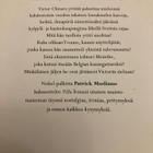 PATRICK MODIANO: VILLA TRISTE - pikkukuva 2