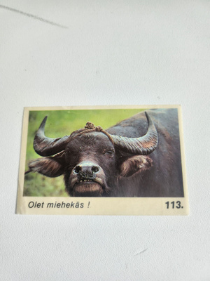Tarrakuva	Jenkki	17730