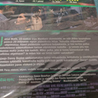 SLUMMIEN MILJONÄÄRI (Danny Boyle) UUSI*** - pikkukuva 3