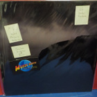 STOLEN KIDNEYS - RUIN FIN 2017 M-/M- LP - pikkukuva 1