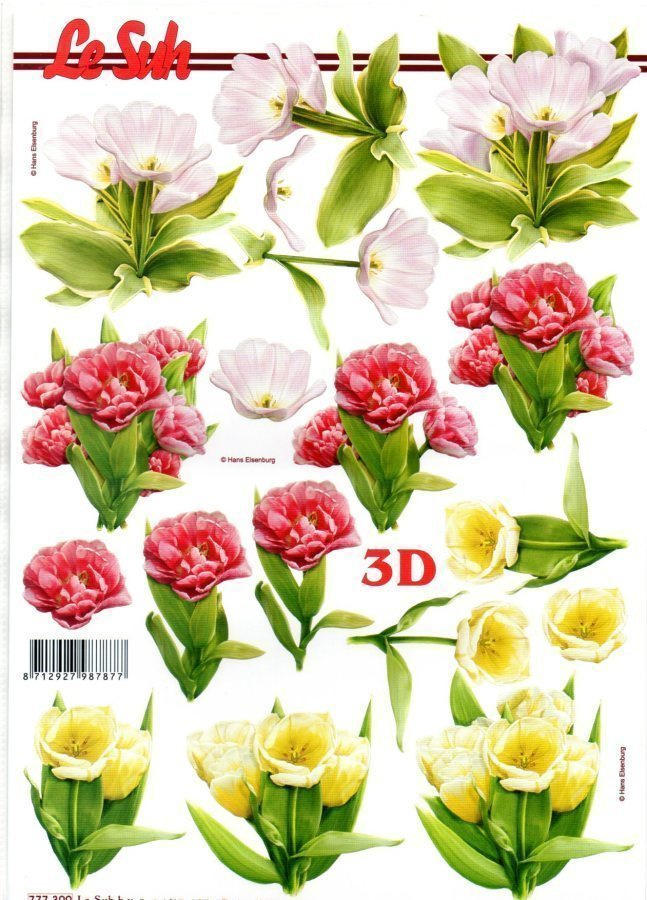 3D °°KAUNIIT TULPPAANIT°° /Le Suh