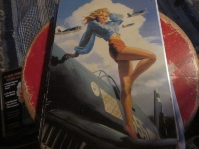 Peltikyltti Pin-Up tyttö ja lentokoneet