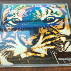 SURVIVOR Eye of the tiger CD - pikkukuva 1