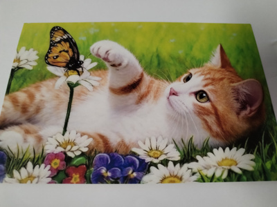 Kissa kortti, kulkematon, vaikka kehyksiin tauluksi.