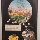 Pupu, tiput, maisema, vanha Pääsiäispk. (Latvia), p. 1925 - pikkukuva 1