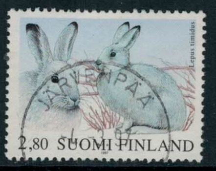 1997 jänikset loisto JÄRVENPÄÄ -97